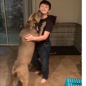 Meet your Posher, Alan